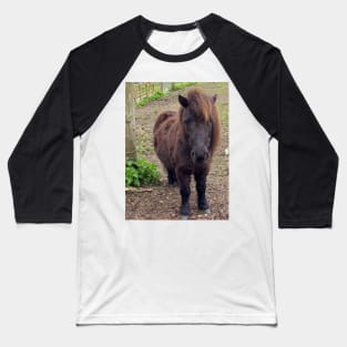 Shetland Pony Baseball T-Shirt